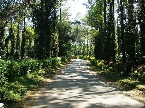 Chettalli, Kodagu