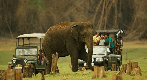 Nagarhole National Park, Kodagu