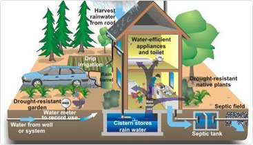 Rain water harvesting system